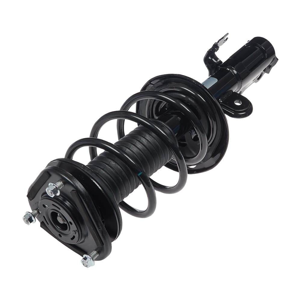 Complete Strut V11422