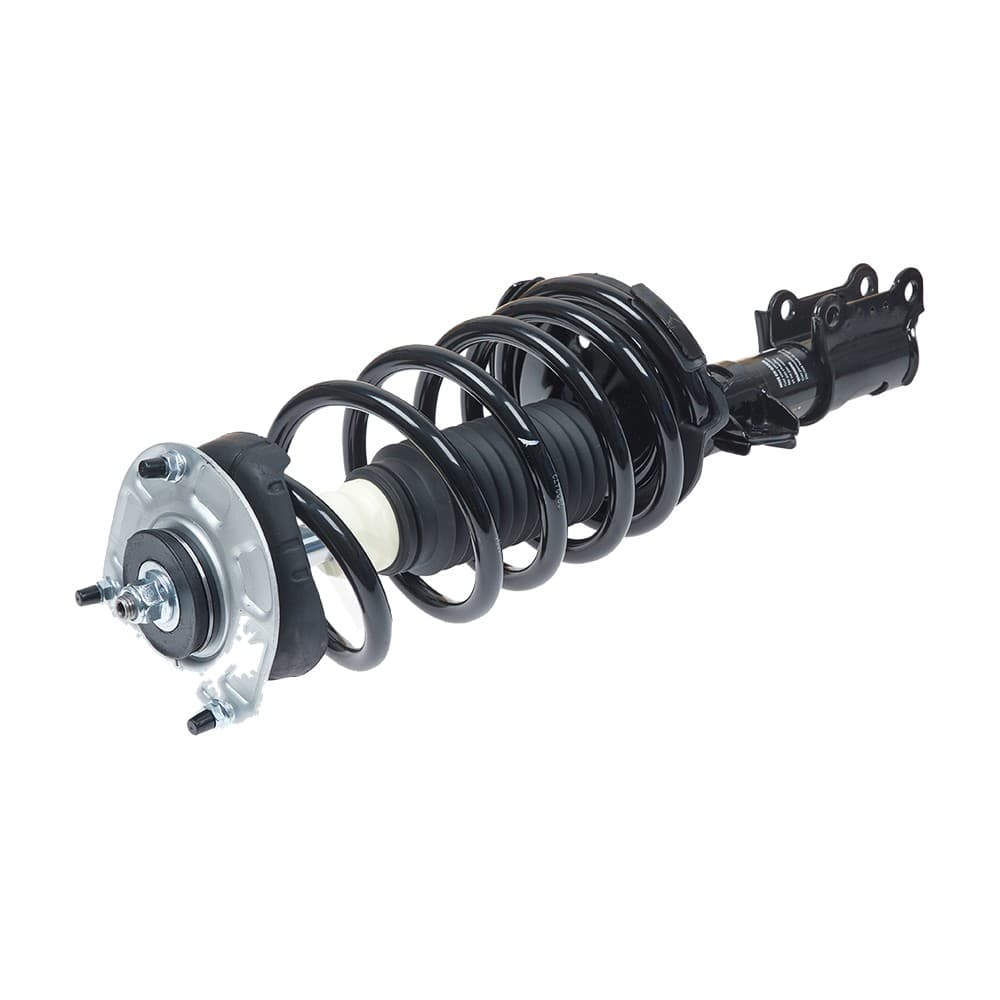 Complete Strut V11486
