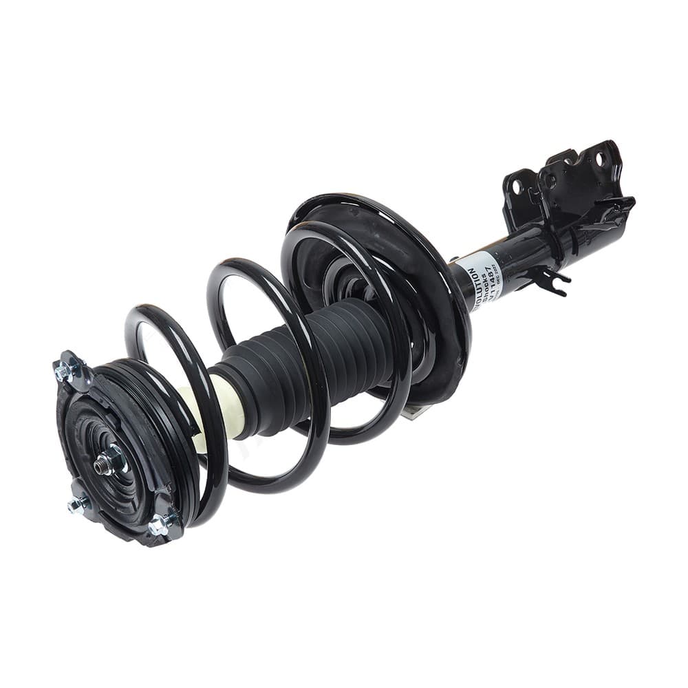 Complete Strut V11487