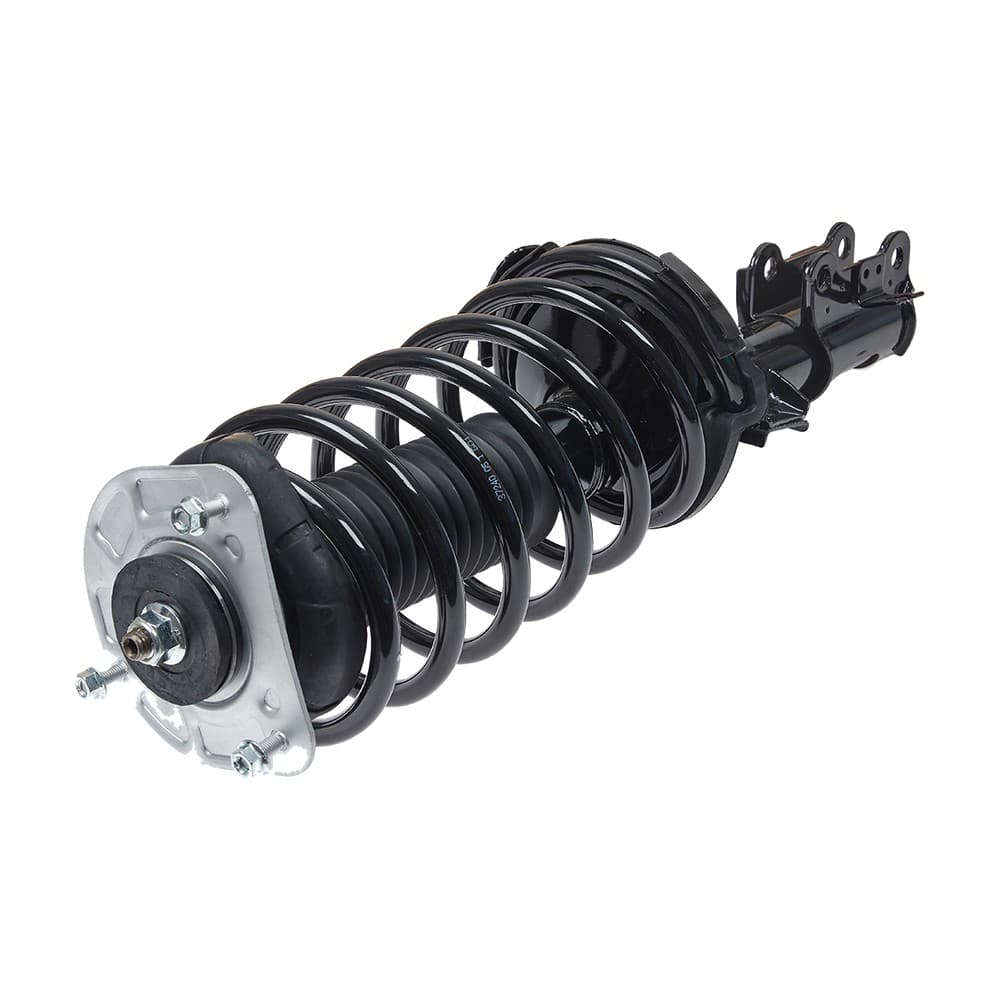 Complete Strut V11491
