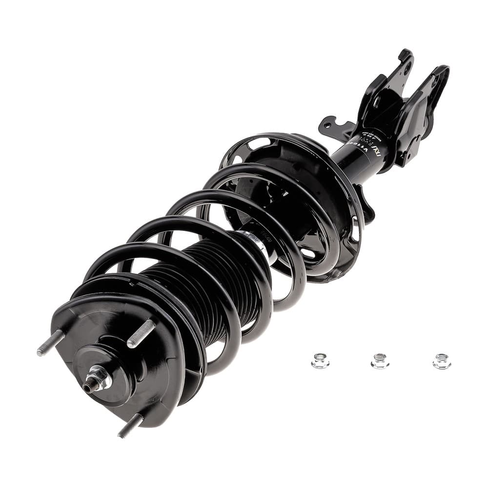 Complete Strut V11646
