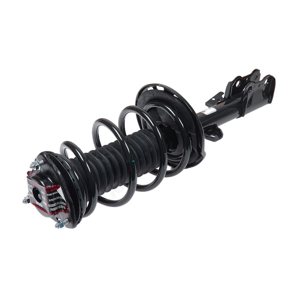 Complete Strut V11648