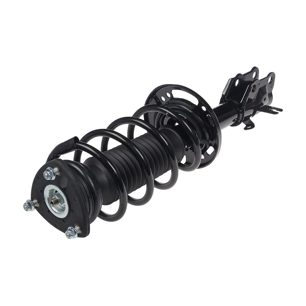 Complete Strut V11697