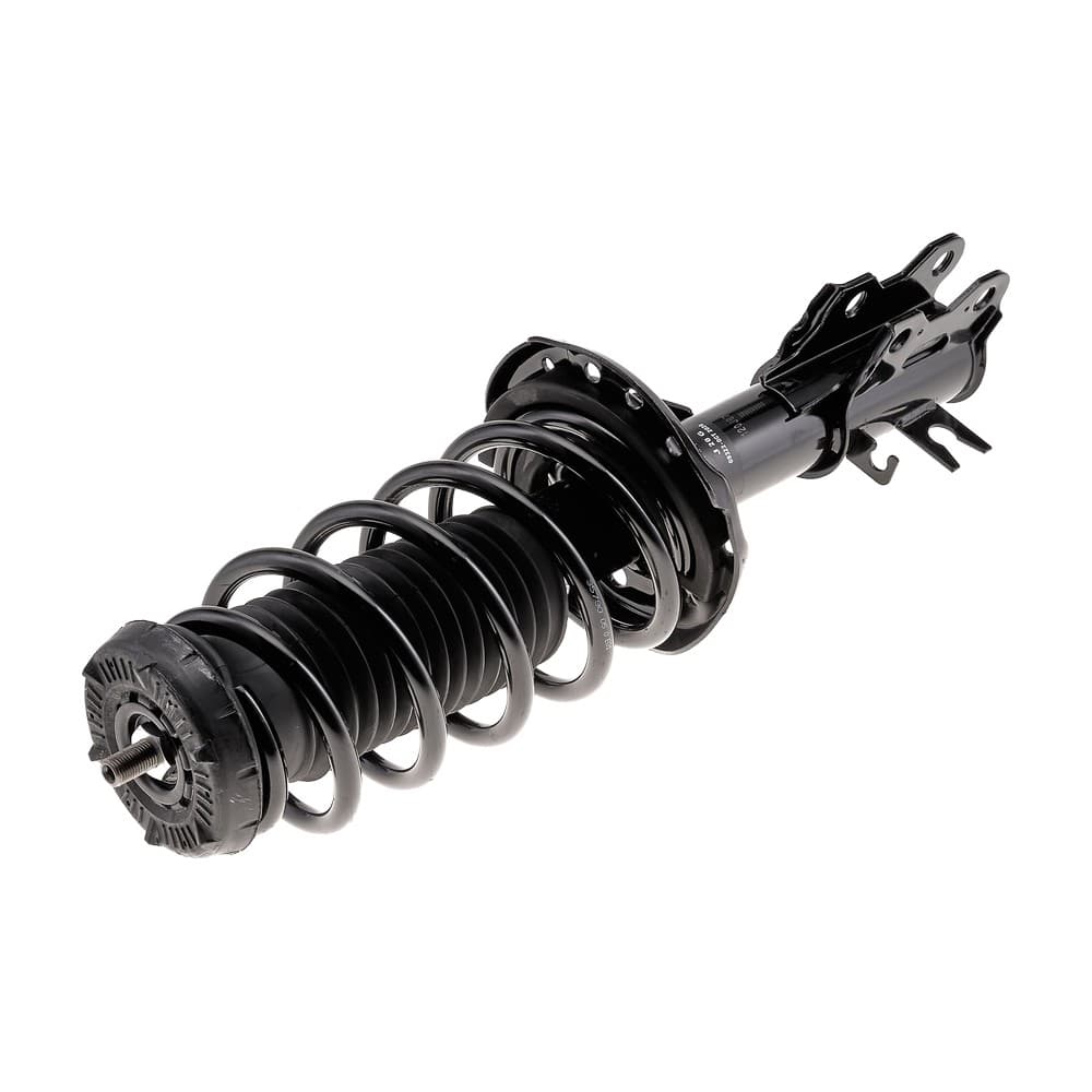 Complete Strut V11717