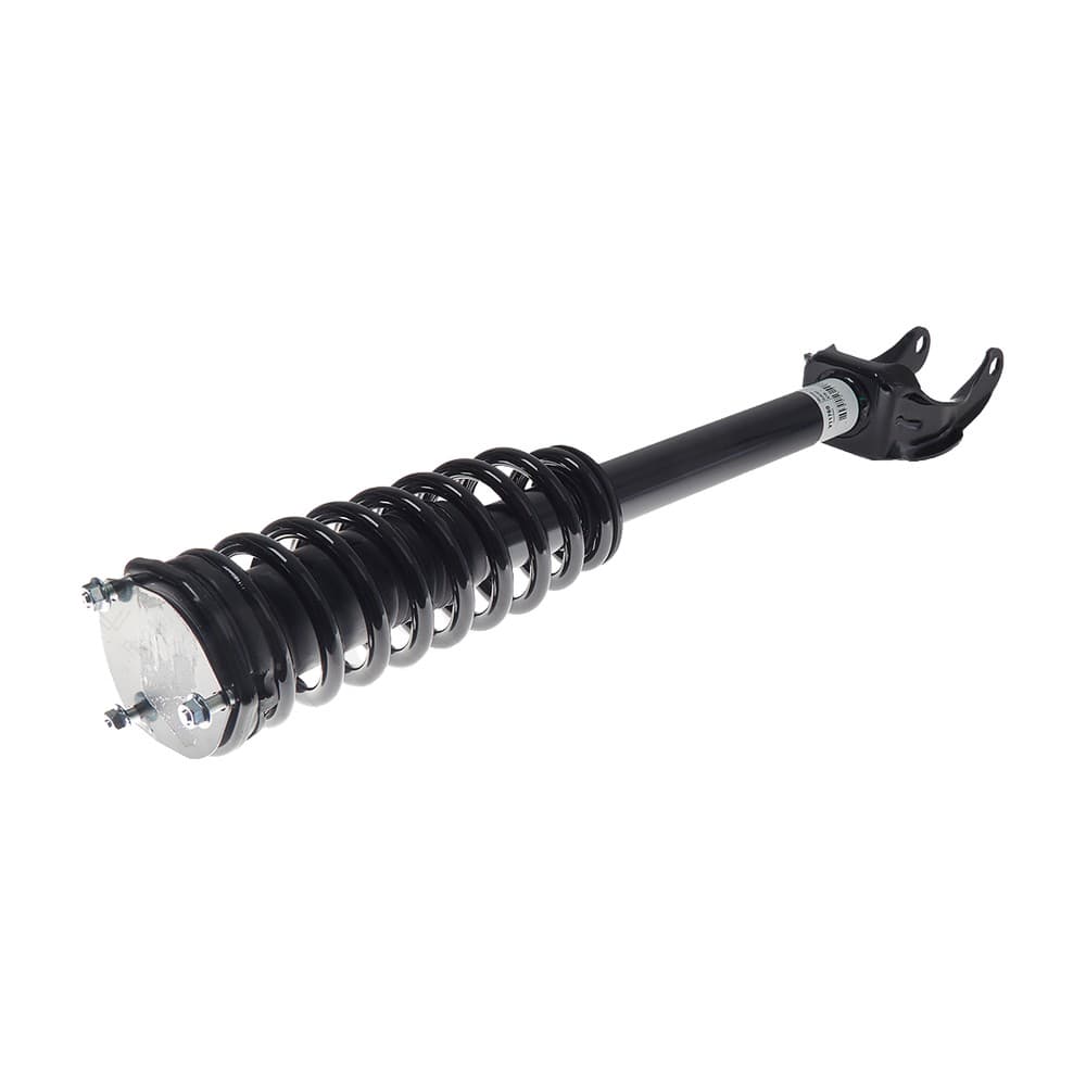 Complete Strut V11760
