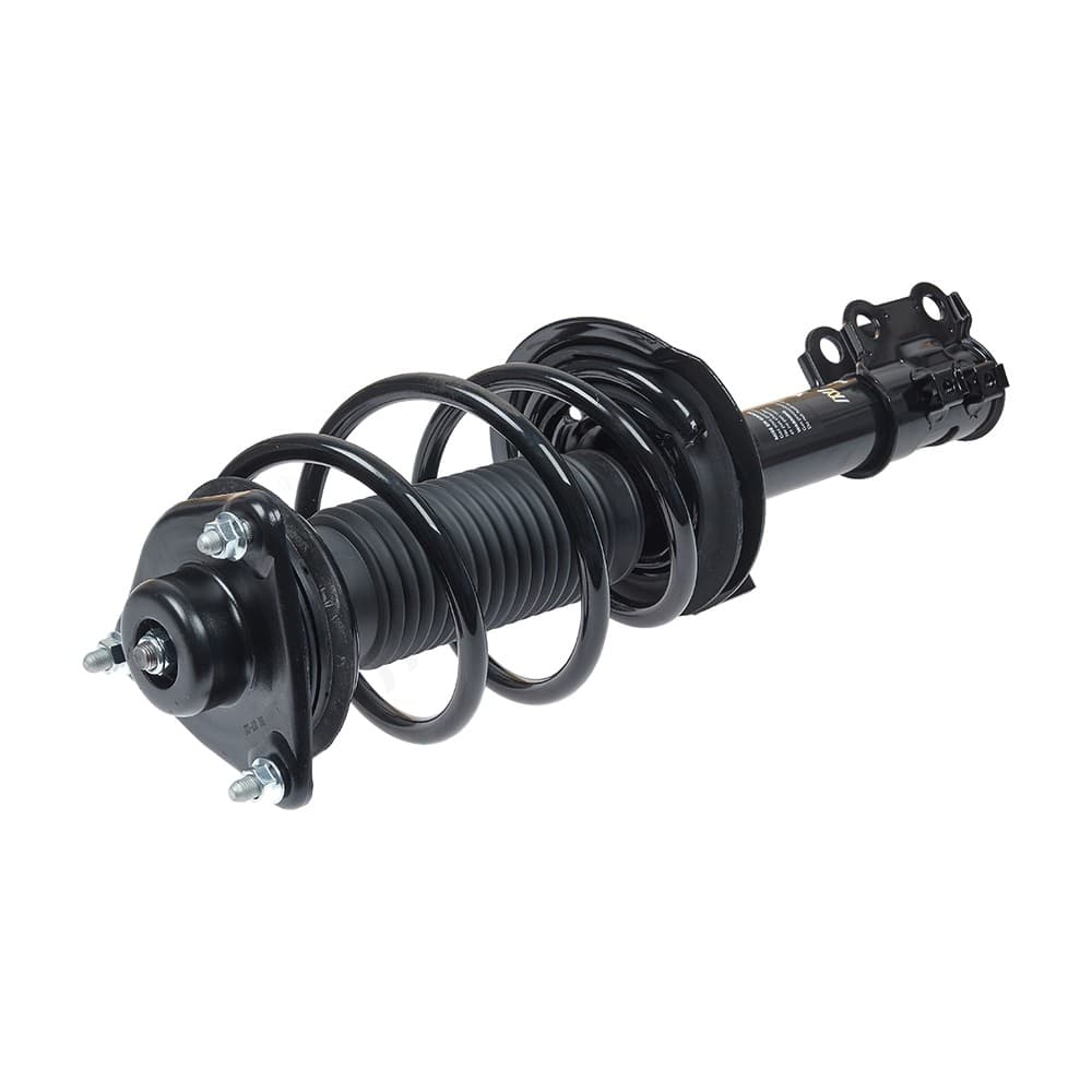 Complete Strut V11771