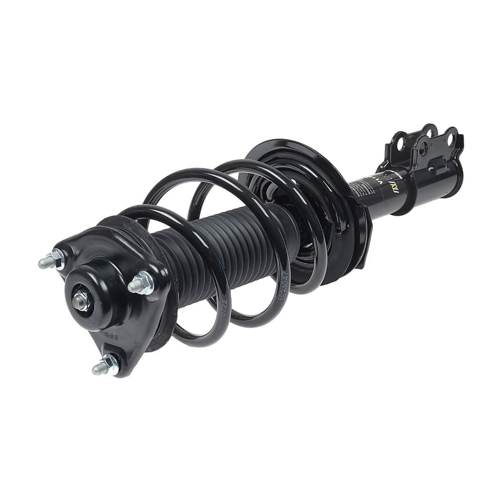 Complete Strut V11772