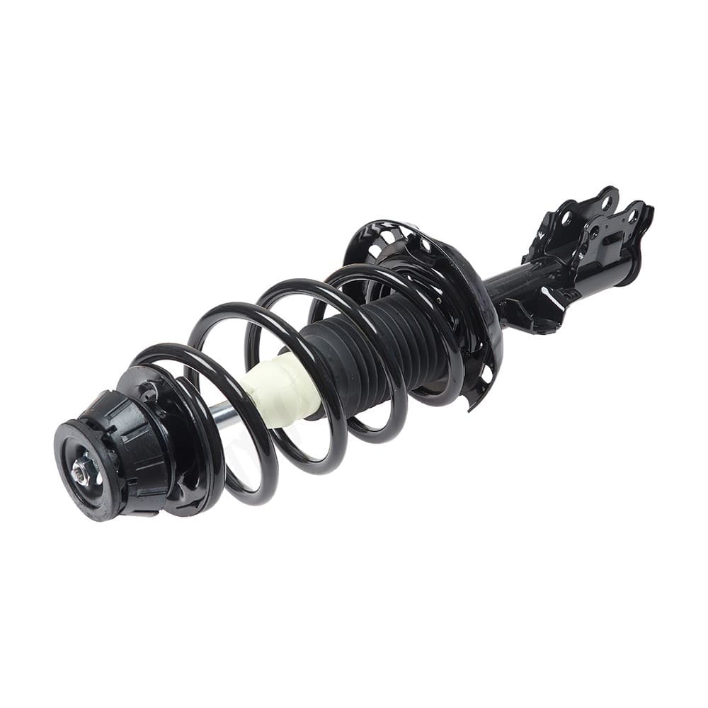 Complete Strut V11933