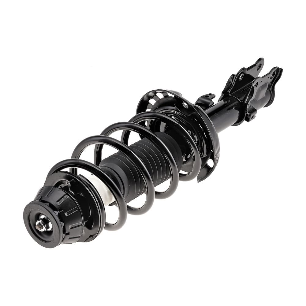 Complete Strut V11934
