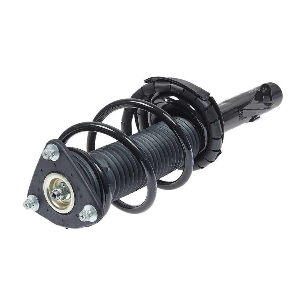 Complete Strut V11973