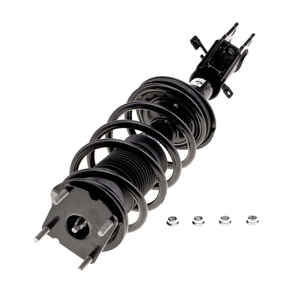 Complete Strut V11984