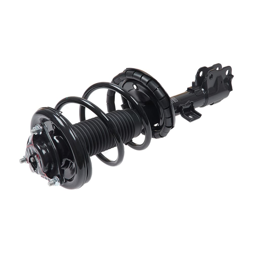 Complete Strut V13234