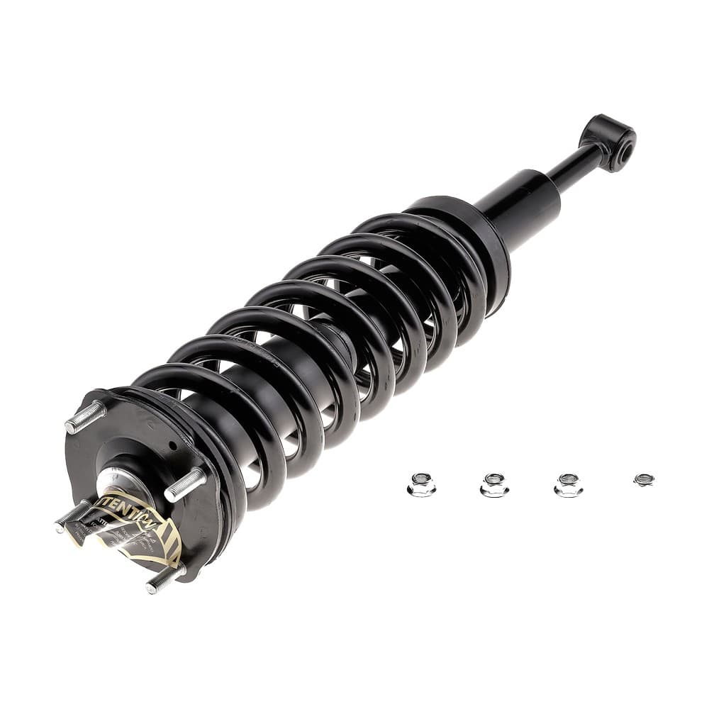 Complete Strut V171119R
