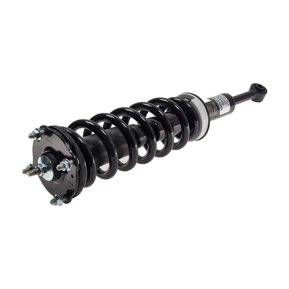 Complete Strut V171137L