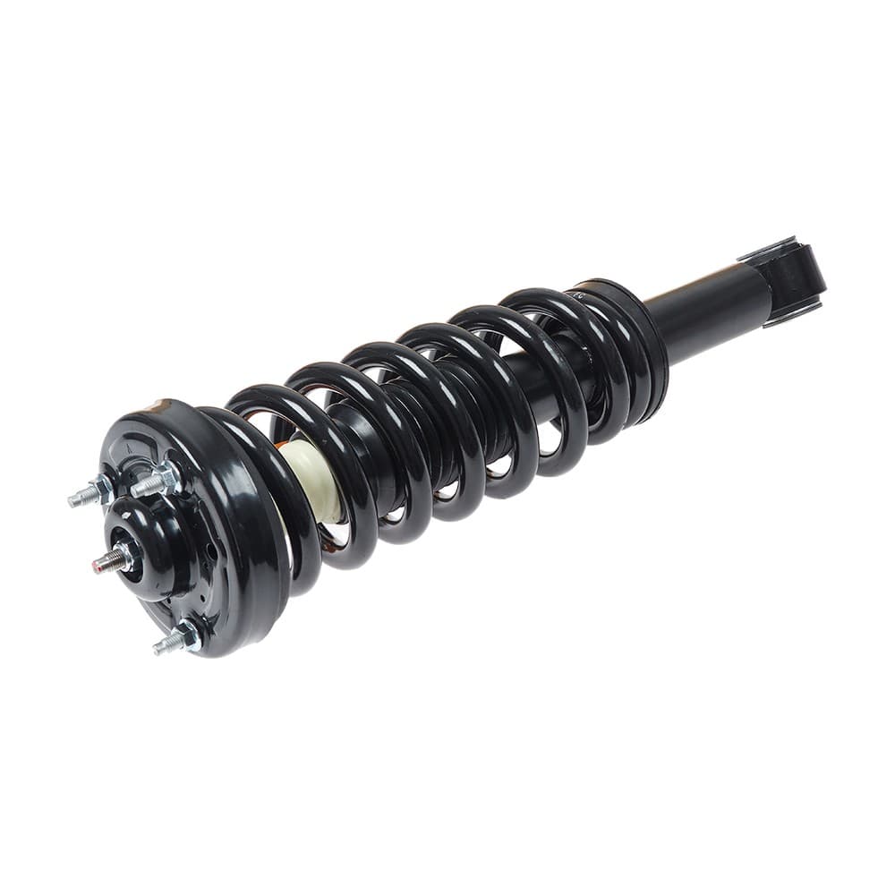 Complete Strut V171141