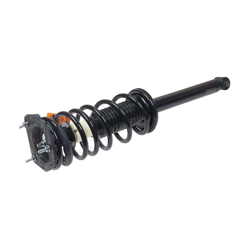Complete Strut V171281
