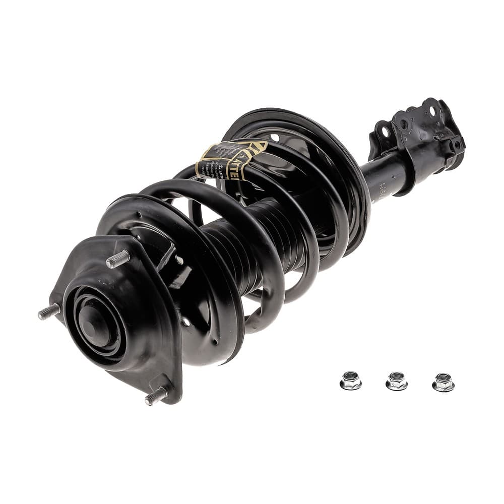 Complete Strut V171405