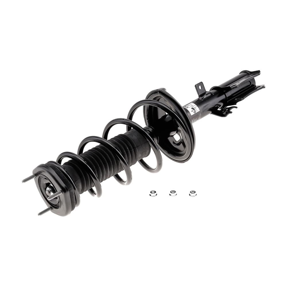 Complete Strut V171493