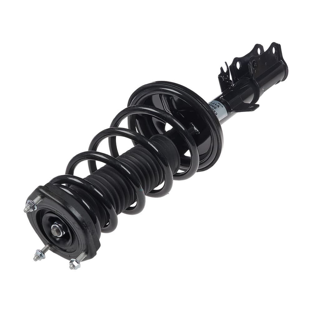 Complete Strut V171496