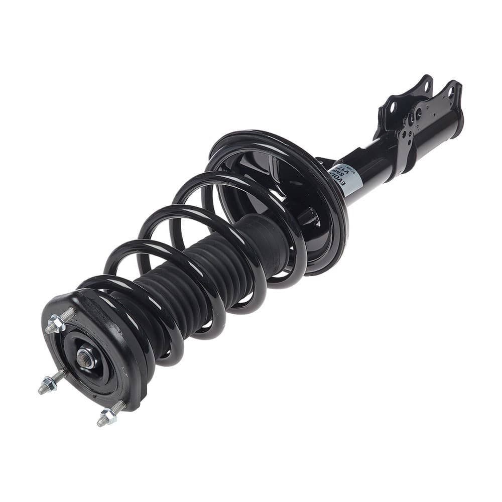 Complete Strut V171497