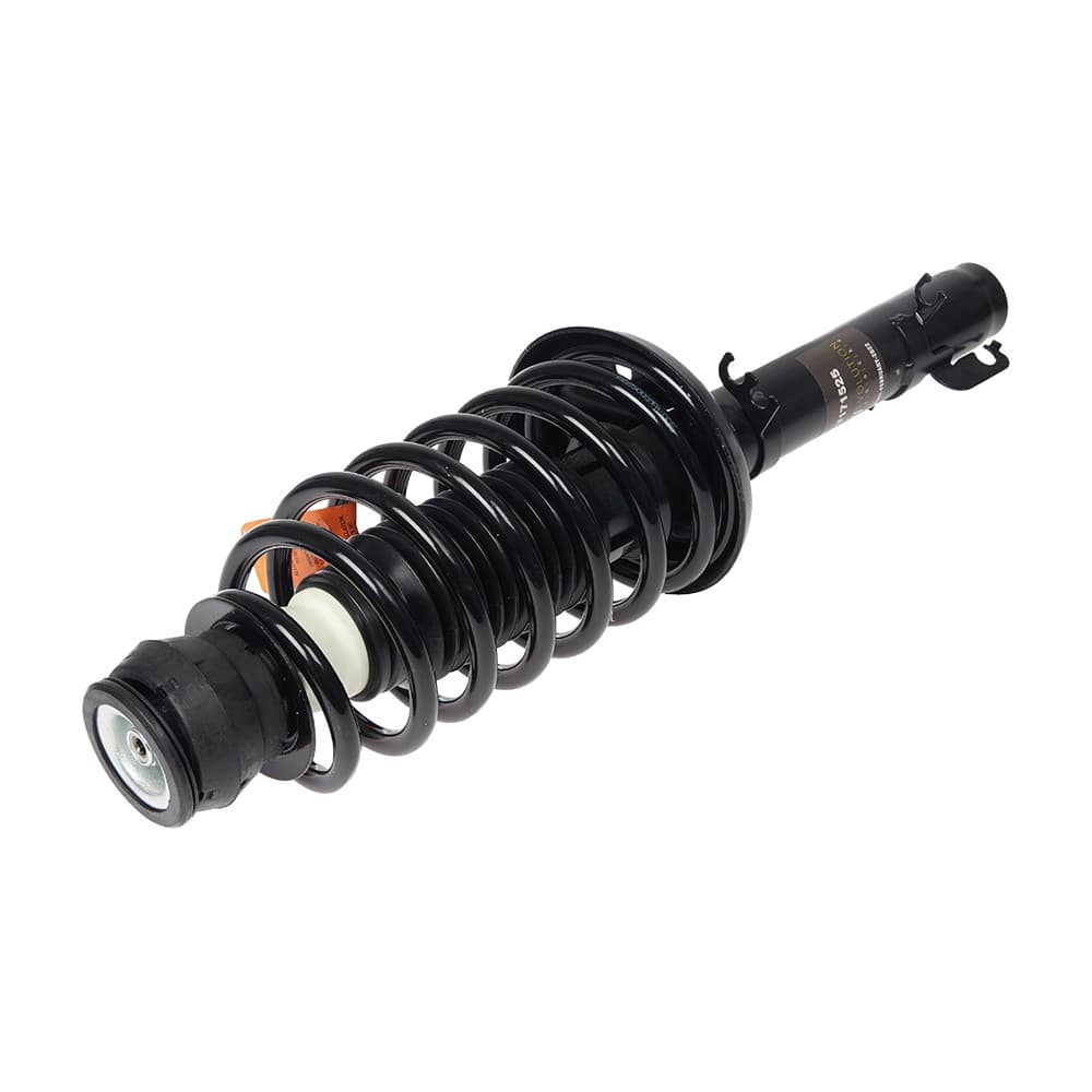 Complete Strut V171525