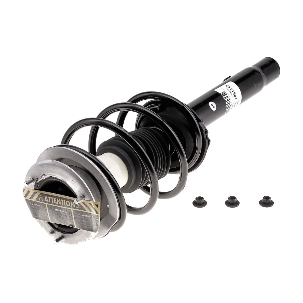 Complete Strut V171581
