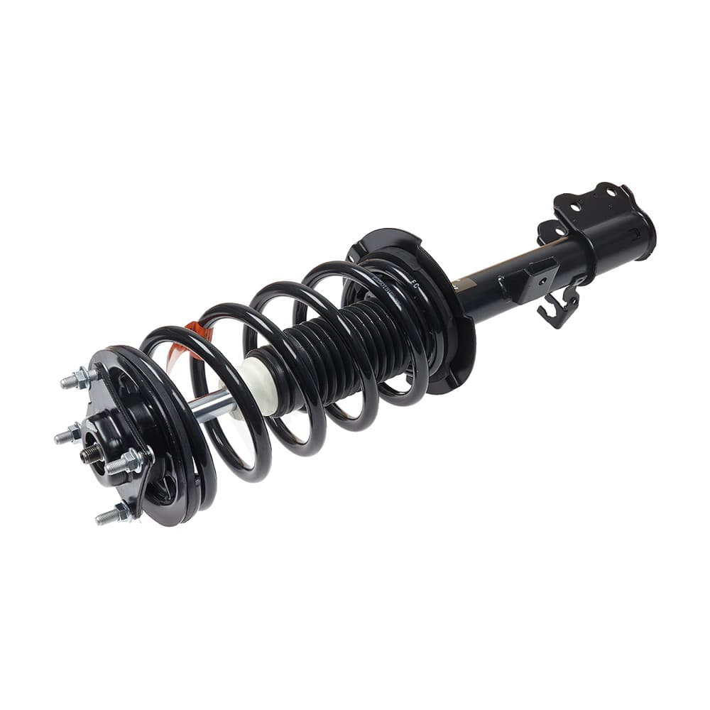 Complete Strut V171594