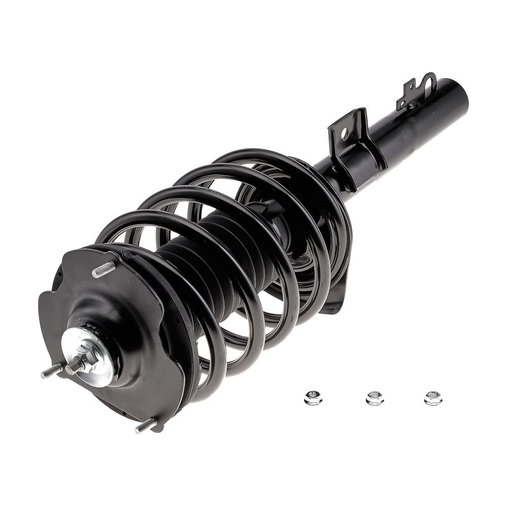 Complete Strut V171615