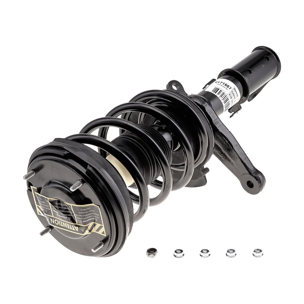 Complete Strut V171667
