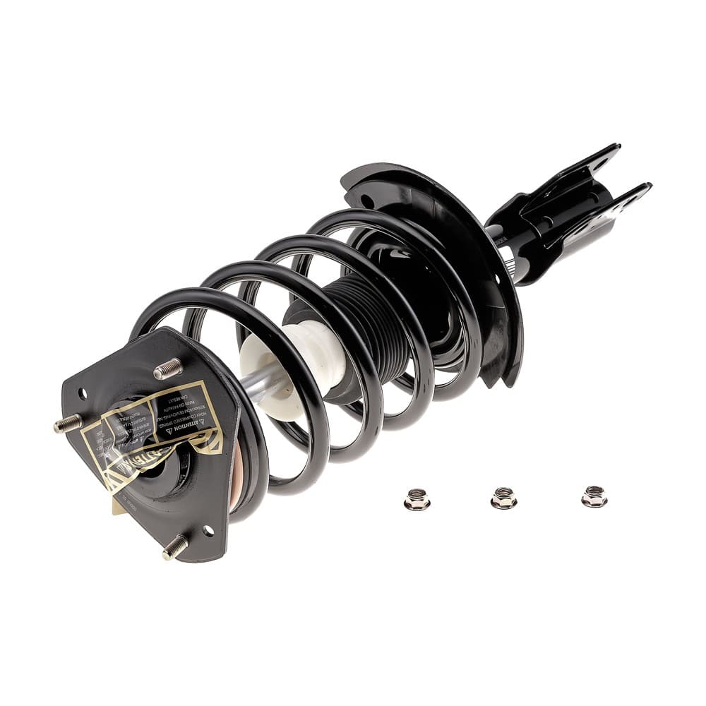 Complete Strut V171670