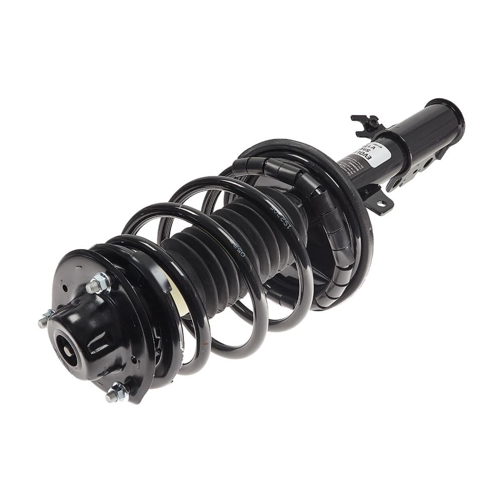 Complete Strut V171679