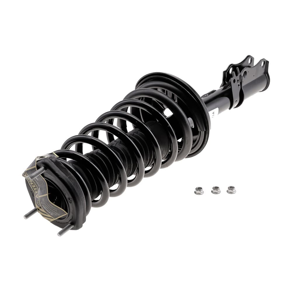 Complete Strut V171681