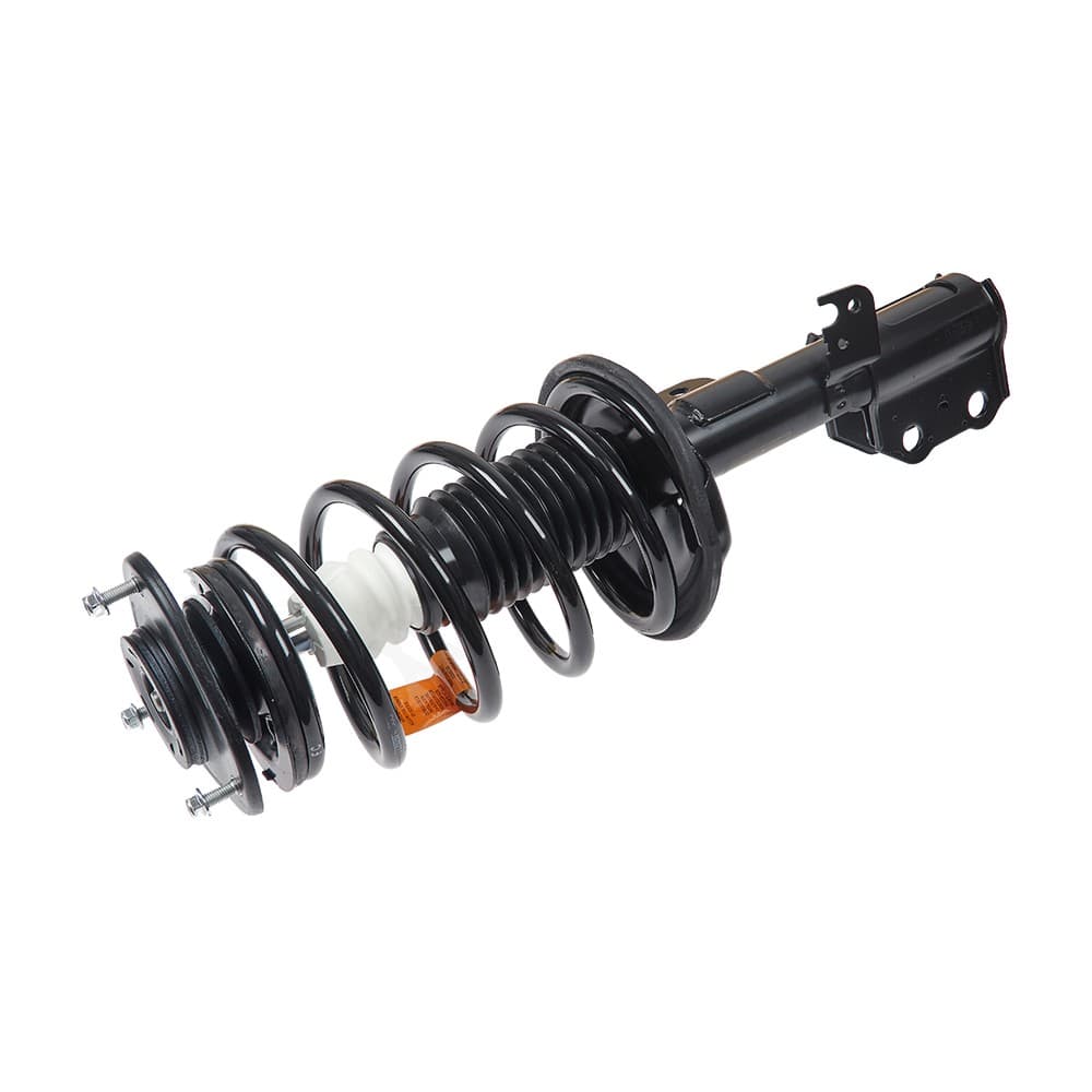 Complete Strut V172116
