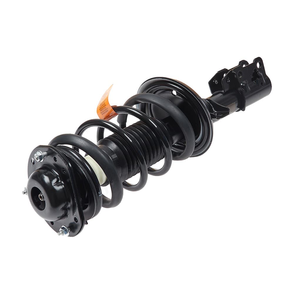 Complete Strut V172179R