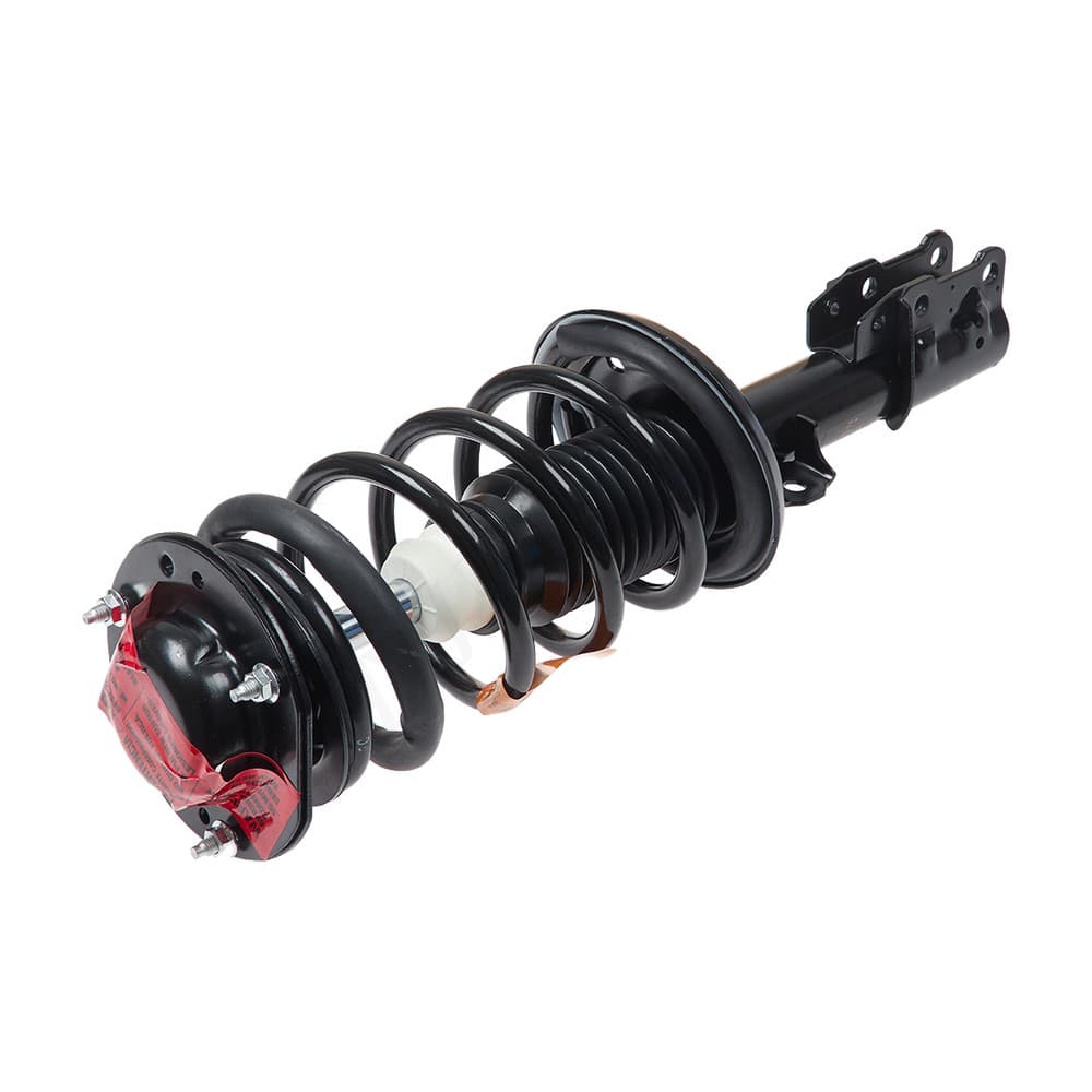 Complete Strut V172199