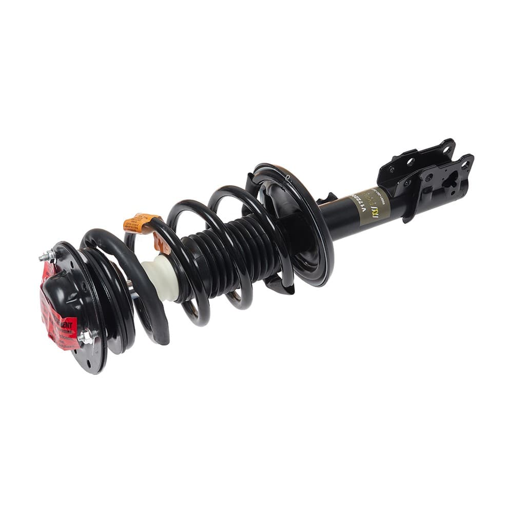 Complete Strut V172200