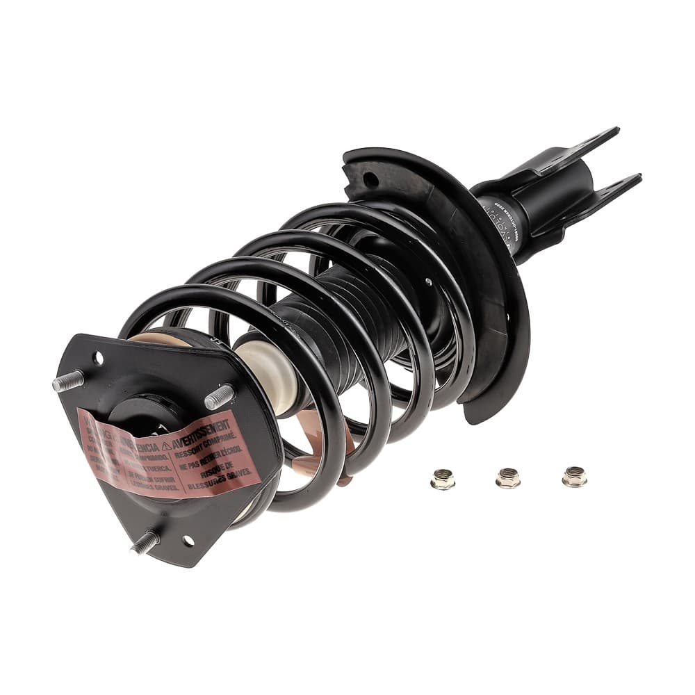 Complete Strut V172231