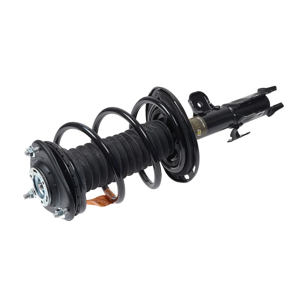 Complete Strut V172275