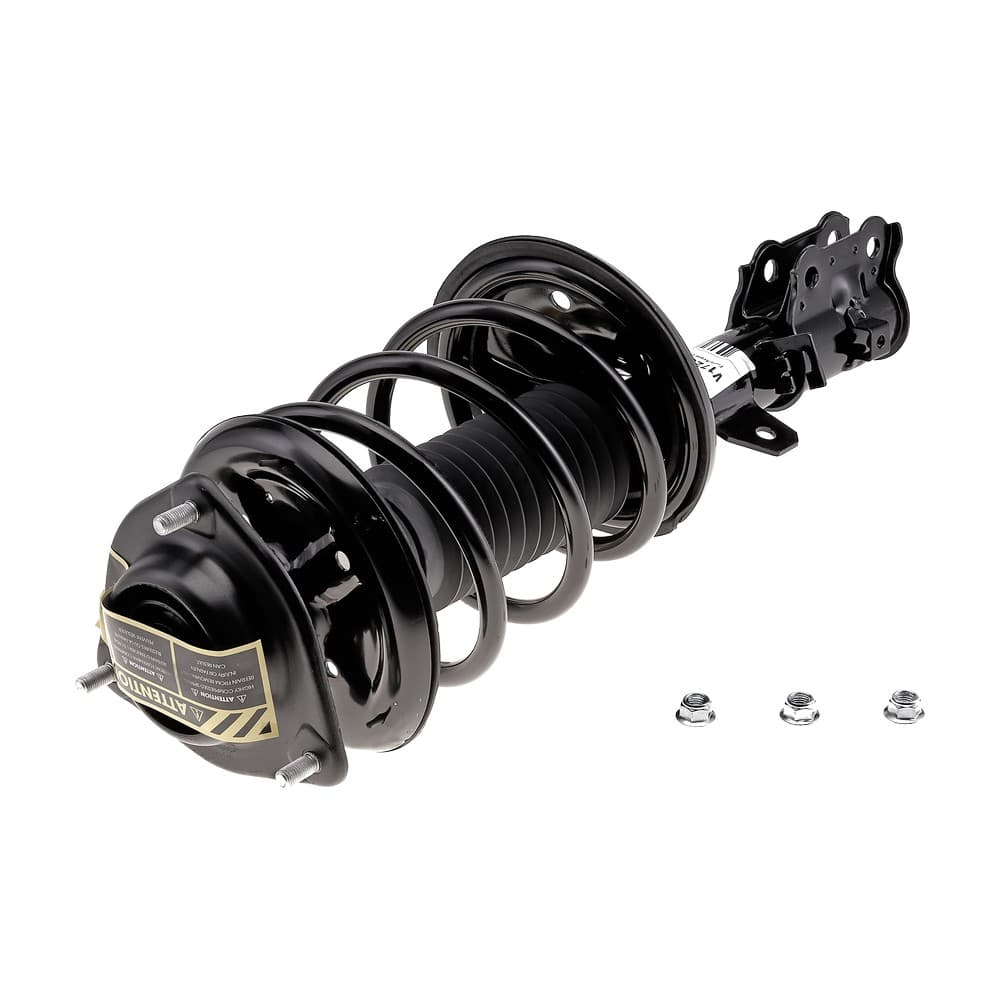 Complete Strut V172302