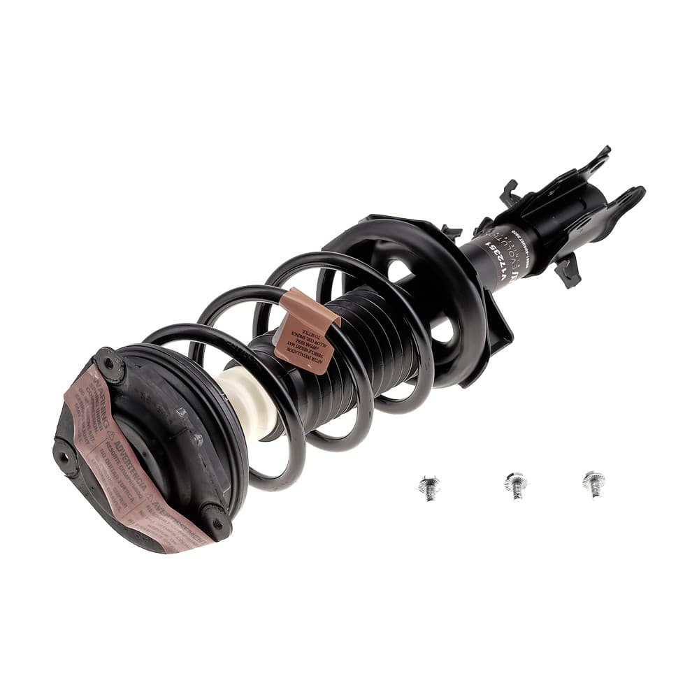 Complete Strut V172351