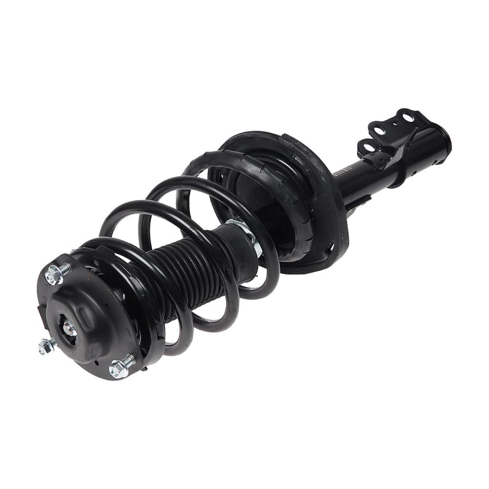Complete Strut V172364