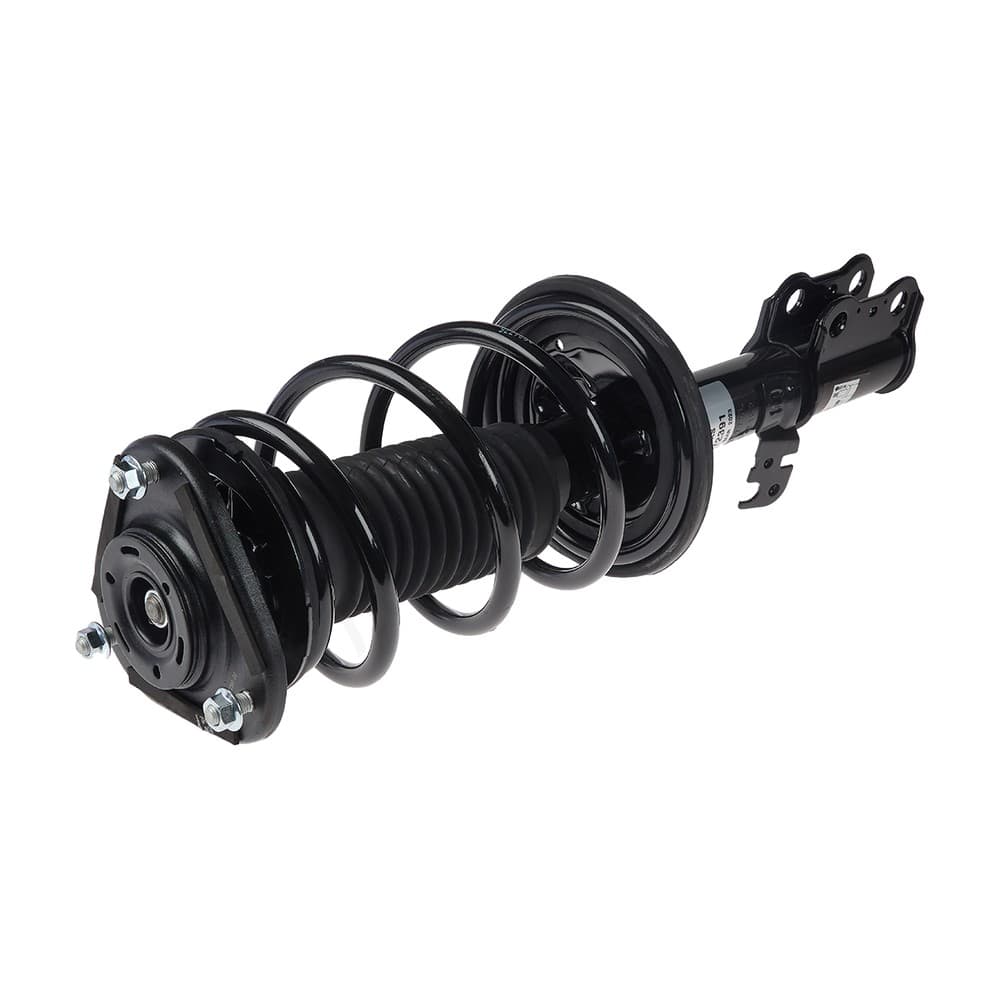 Complete Strut V172391