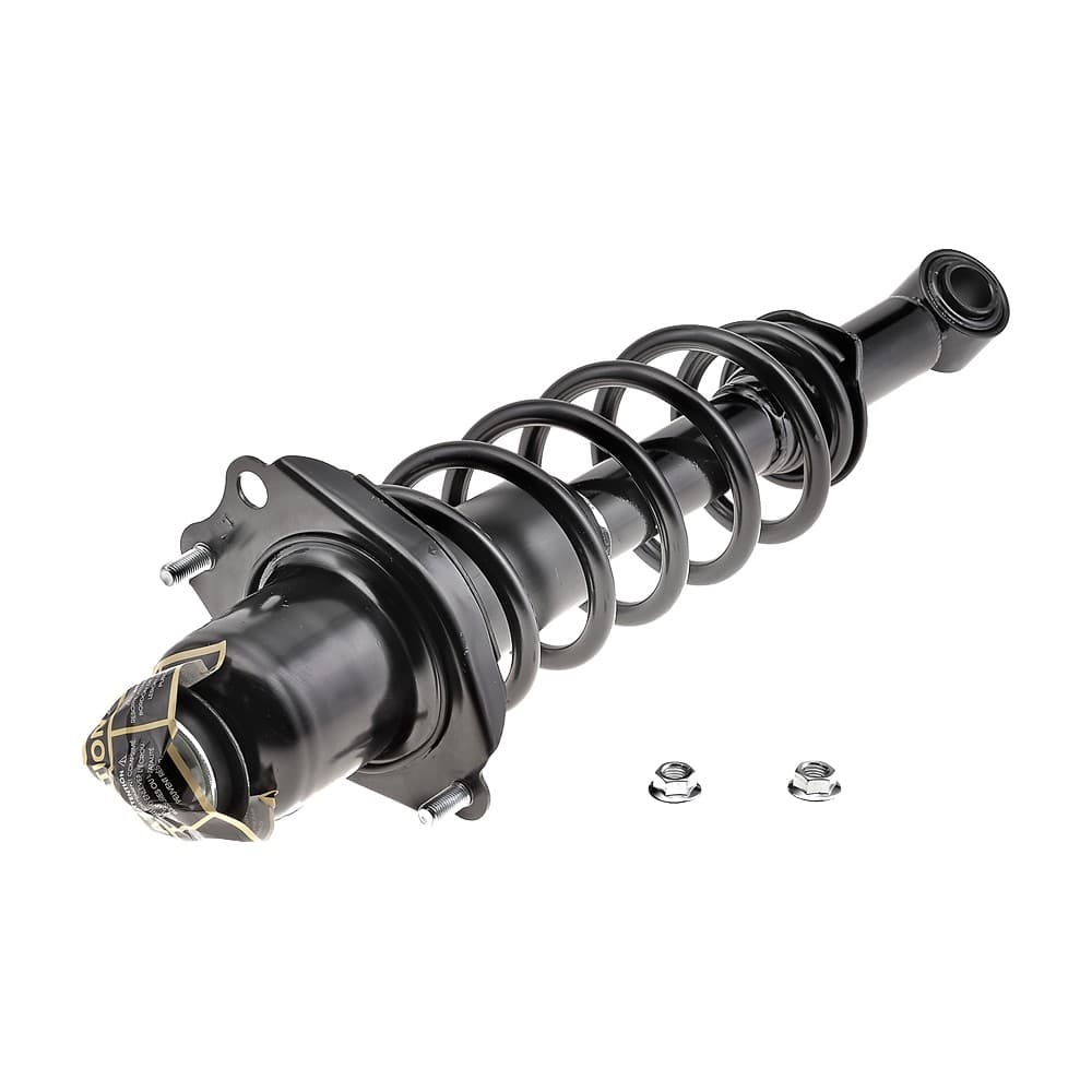 Complete Strut V172394L