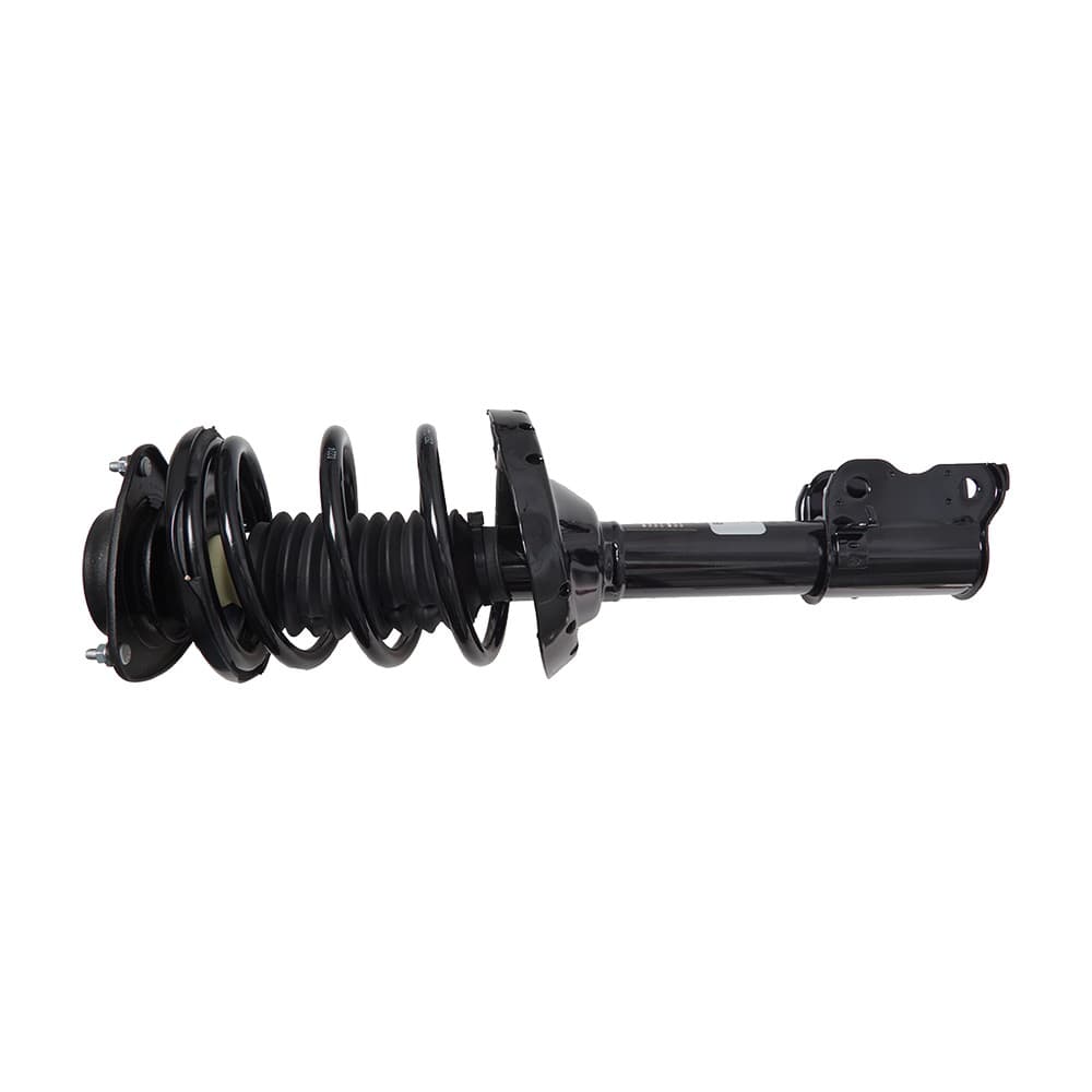 Complete Strut V172430
