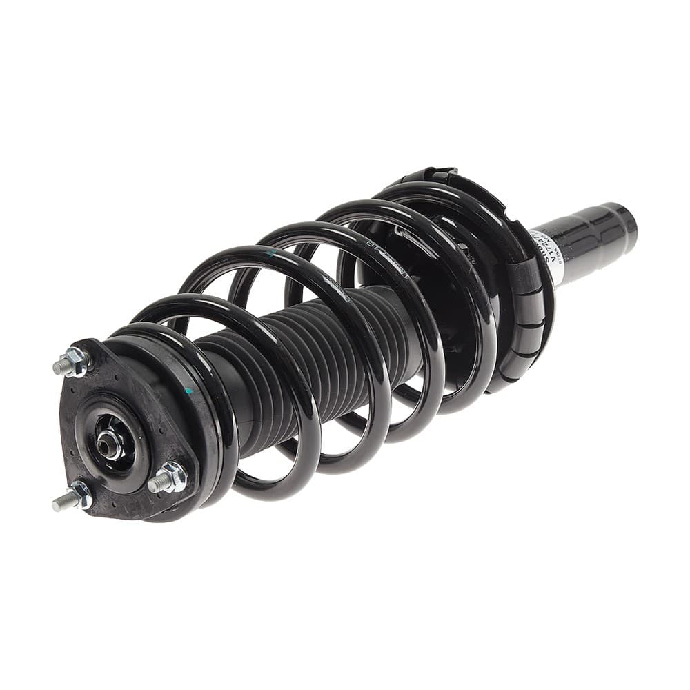 Complete Strut V172479L
