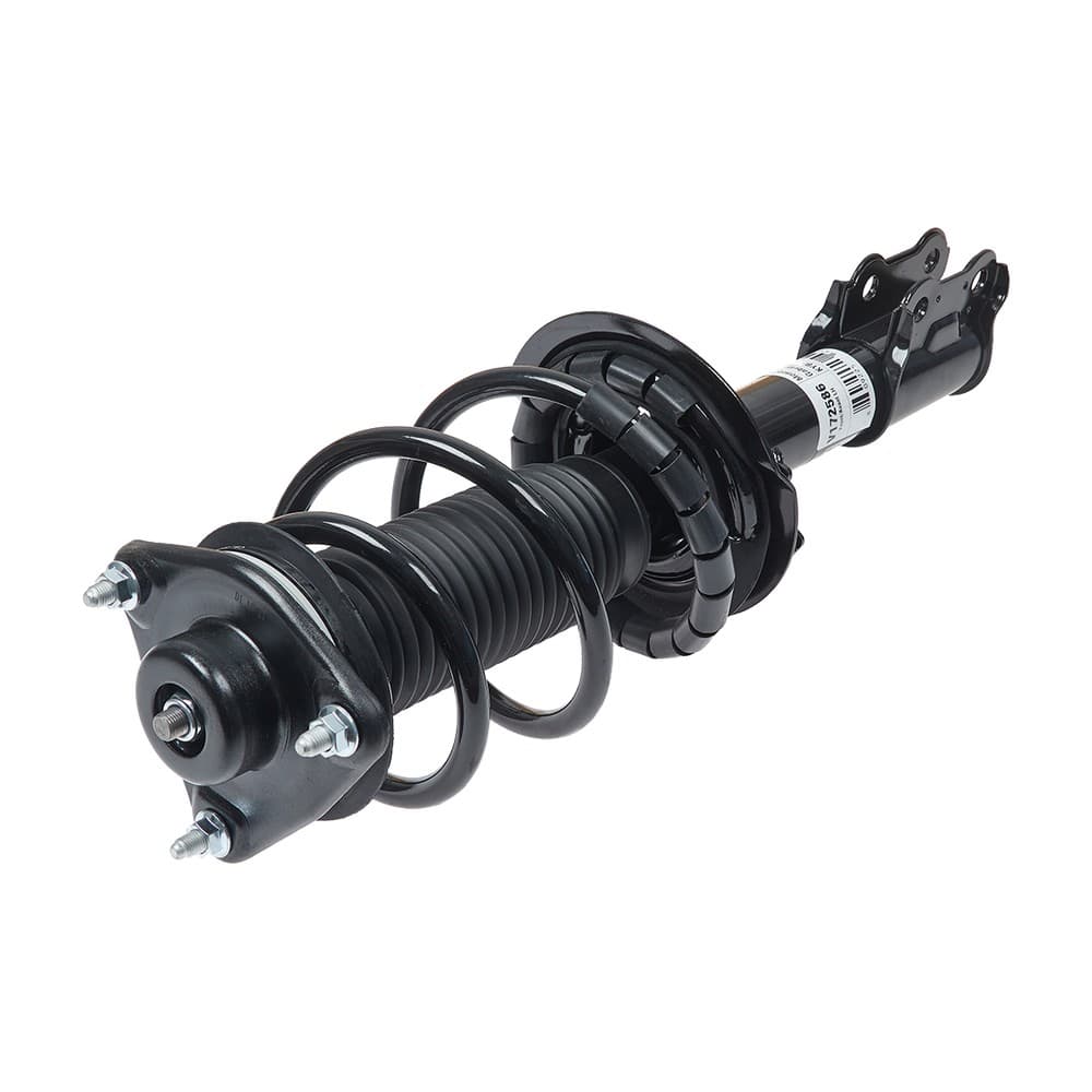 Complete Strut V172586
