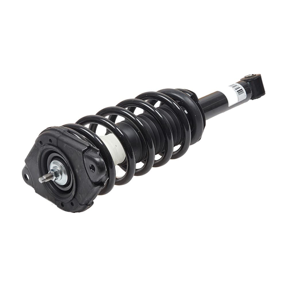 Complete Strut V172900