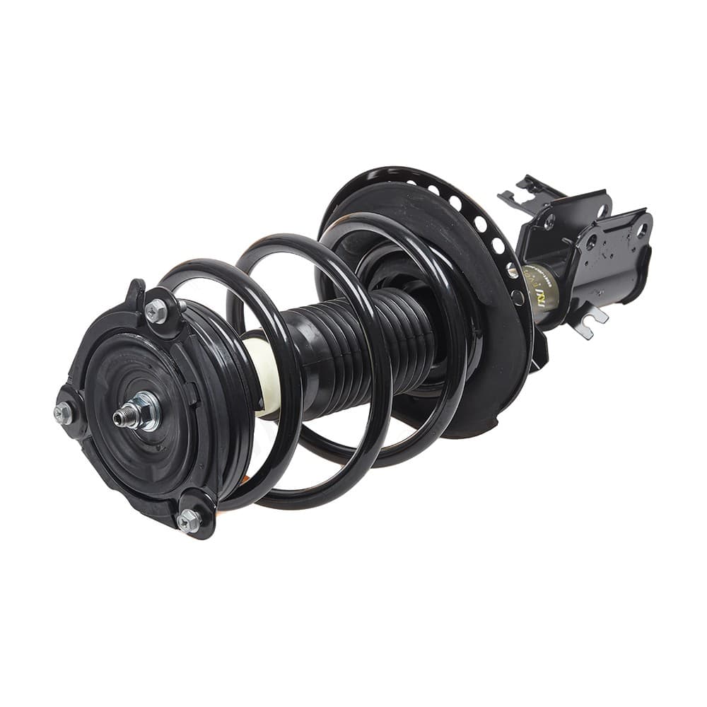 Complete Strut V172901