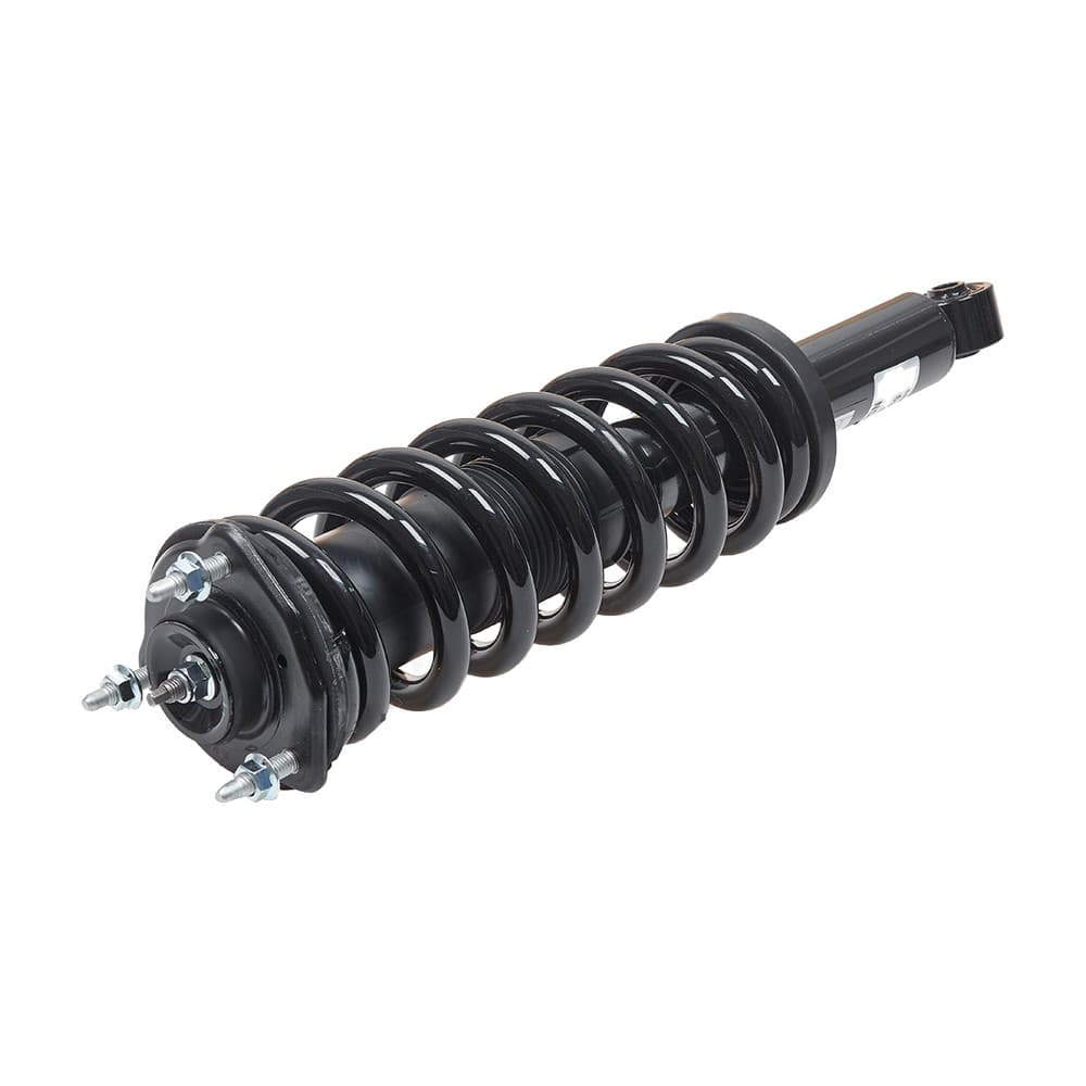 Complete Strut V172919