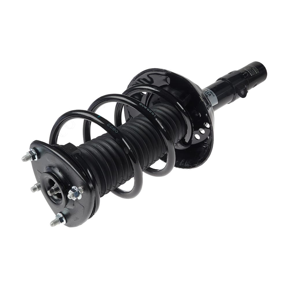 Complete Strut V172971
